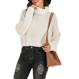 High Necked Pullover Sweater Top