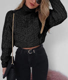 High Collar Knitted Sweater