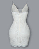 Lace V-neck Embroidered Dress