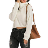 High Necked Pullover Sweater Top